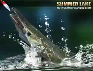 Hra Summer Lake
