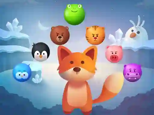 Hra Bubble Shooter Kit