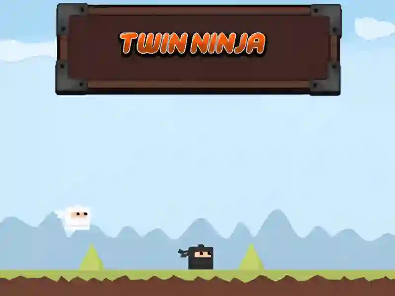 Hra Twin Ninja