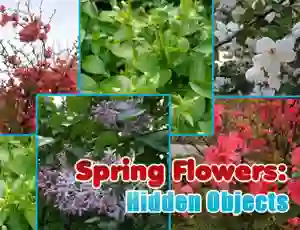 Hra Spring Flowers: Hidden Objects