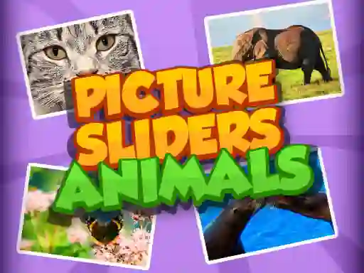 Hra Picture Slider Animals