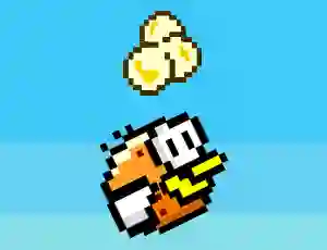 Hra Pac bird