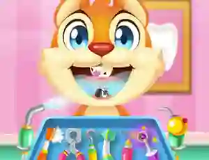 Hra Crazy Animals Dentist
