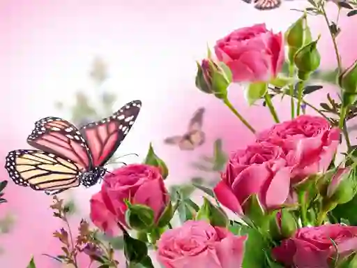 Hra Butterflies Puzzle