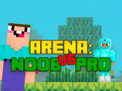 Hra Arena: Noob vs Pro