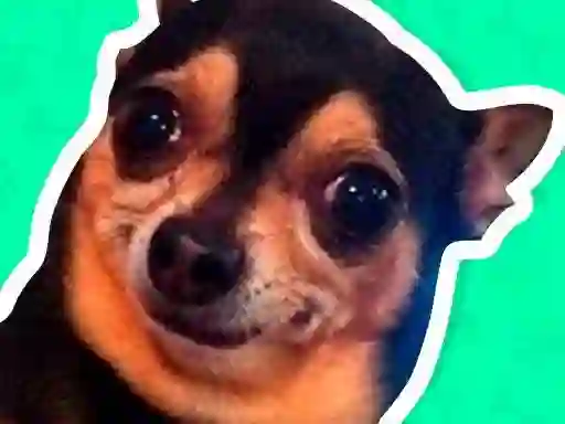Hra What meme dog are you ?