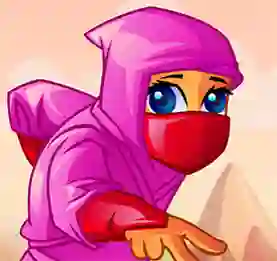 Hra Ninja vital Treasure