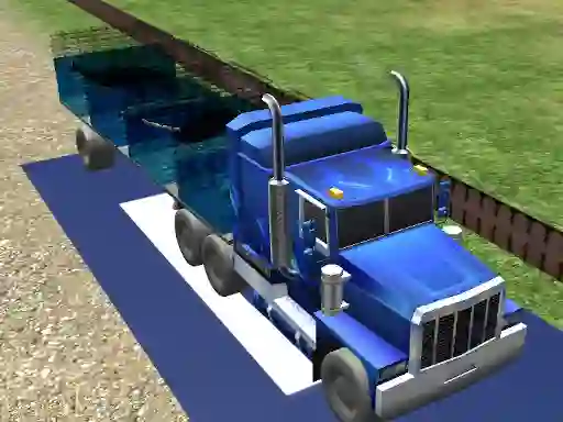 Hra Sea Animal Transport