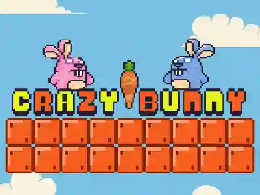 Hra Crazy Bunny