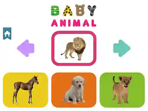 Hra Baby Animal