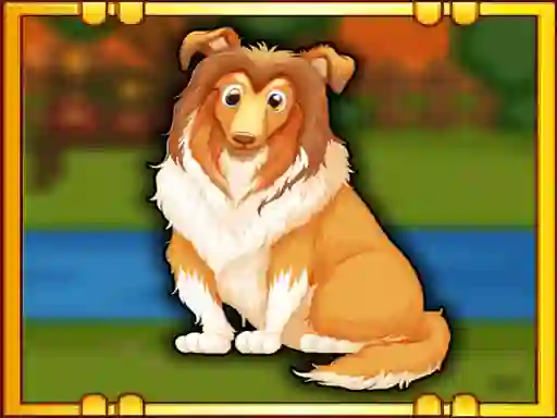 Hra Bernese Mountain Dog Escape