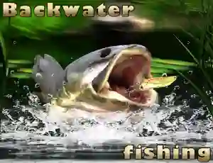 Hra Backwater Fishing