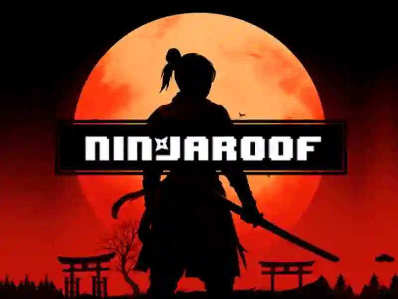Hra Ninja Roof