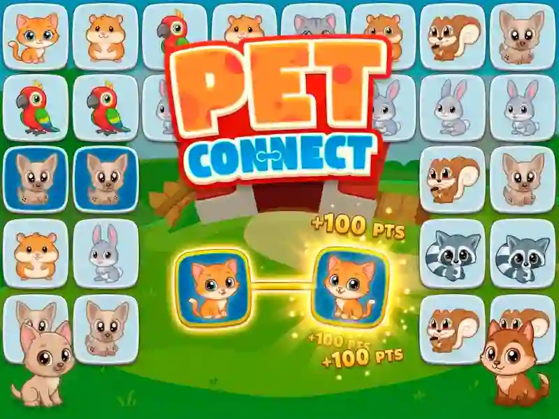Hra Pet connect