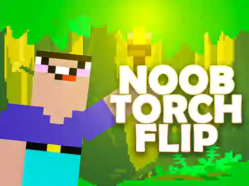 Hra Torch Flip