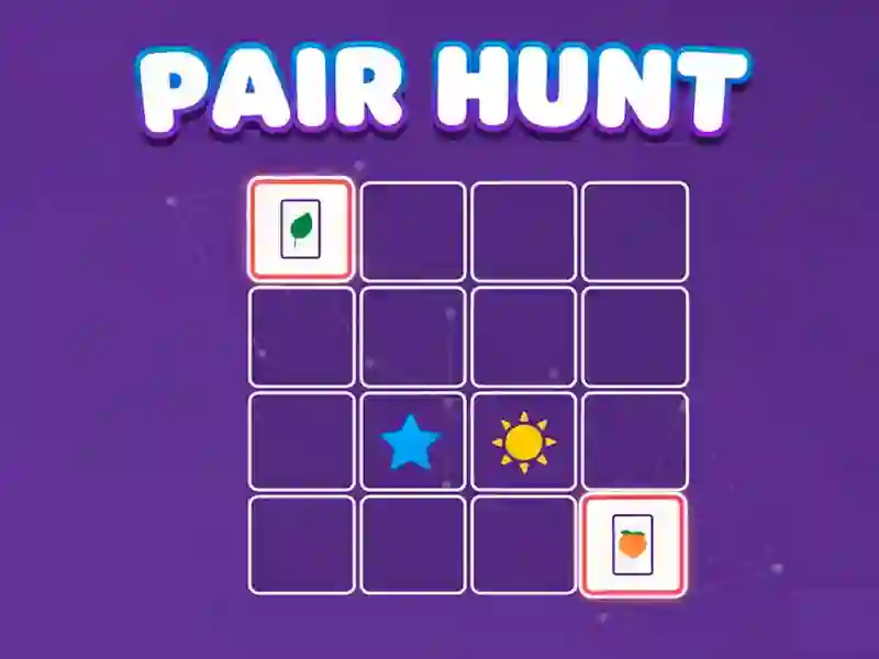 Hra Pair Hunt