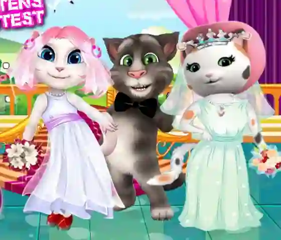 Hra White Kittens Bride Contest
