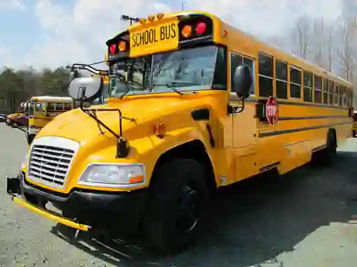 Hra School Buses Puzzle