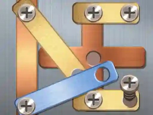 Hra Screw Puzzle