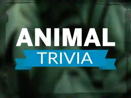 Hra Animal Trivia