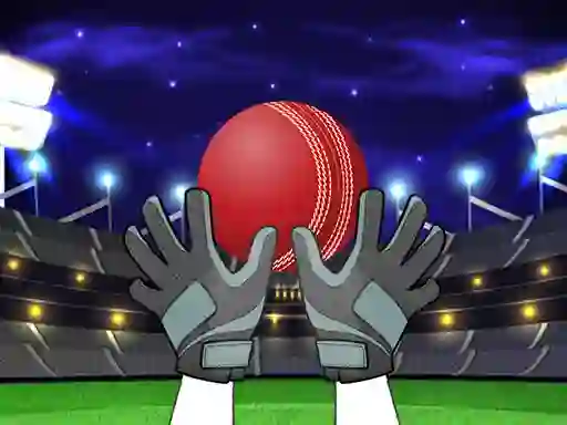 Hra Catch The Balls