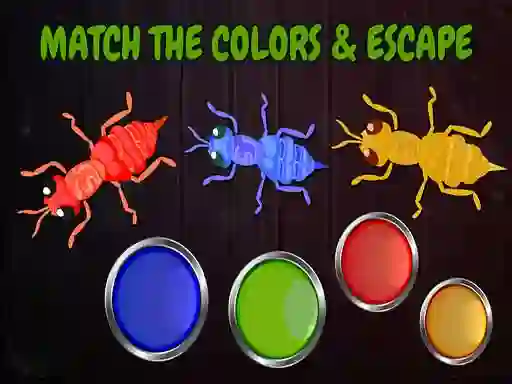 Hra Ants