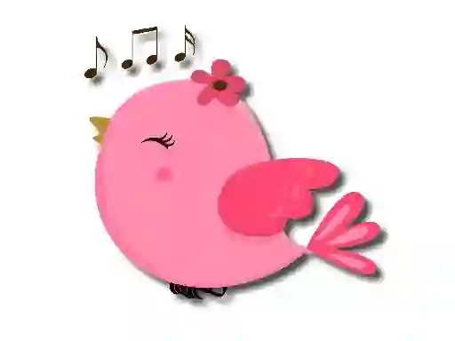 Hra Cute Birds Memory