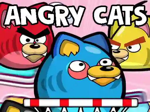 Hra Angry Cats