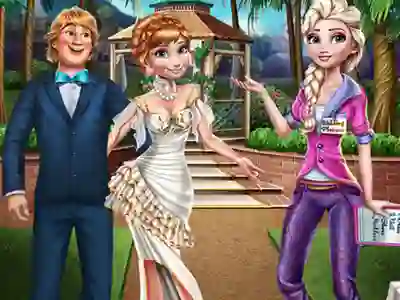 Hra Wedding Planner