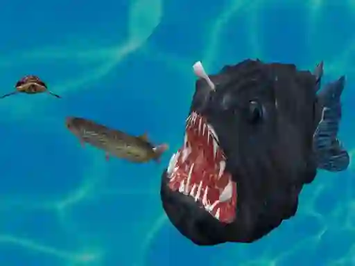 Hra Fish 3d