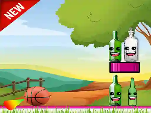 Hra Bottle Shooter