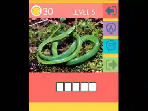 Hra 15 Picture Quiz