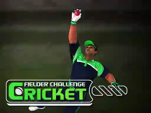 Hra Cricket Fielder Challenge