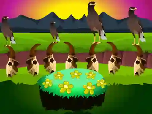 Hra Myna Land Escape