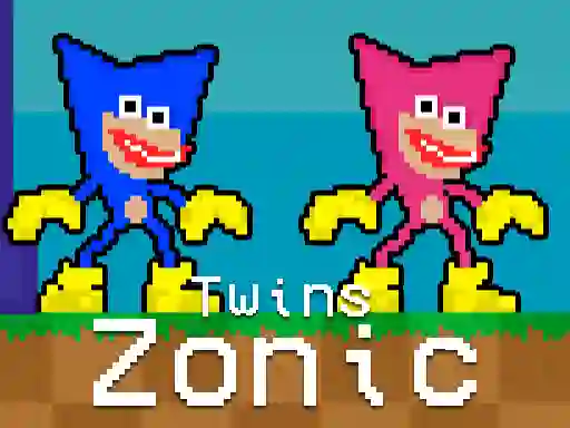 Hra Twins Zonic