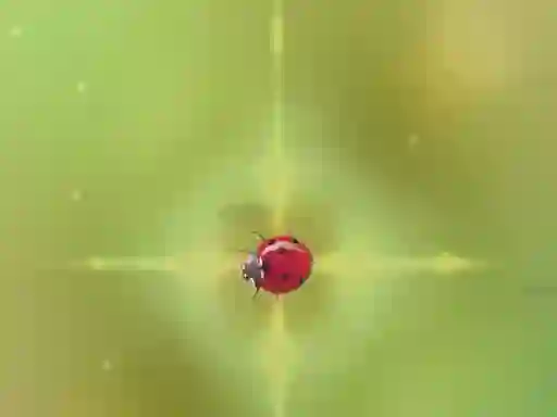 Hra Pest Control