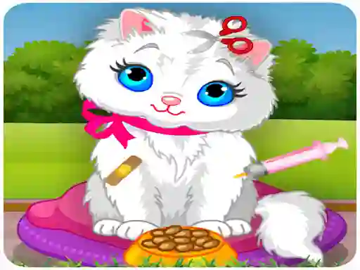 Hra Vet Cat Clinic