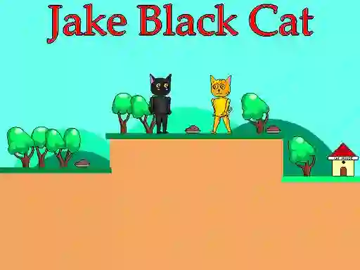 Hra Jake Black Cat