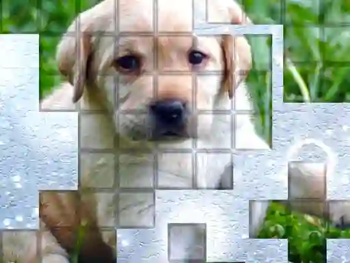 Hra PicPu Dog