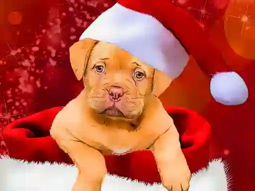 Hra Christmas Dogs Styles