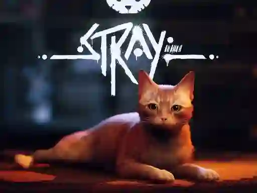 Hra Stray