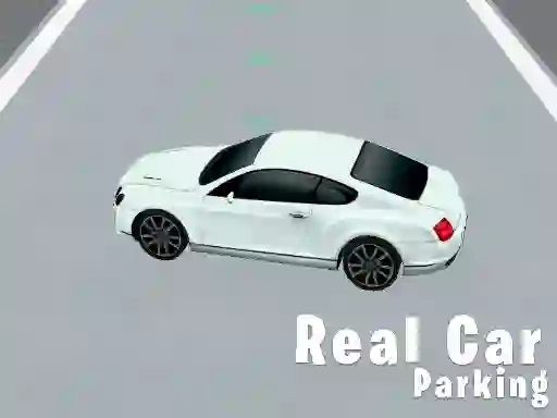 Hra Real Car Parking