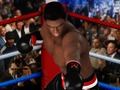 Hra Konečný Boxing 