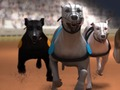 Hra Greyhound Racing