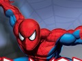 Hra Spider bojovník 
