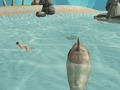 Hra Shark Simulator Beach Killer