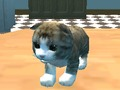 Hra Simulátor kočky: Kitty Craft! 
