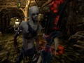 Hra Zombie vs Berserk 2 
