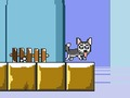 Hra Pane Jump Husky 