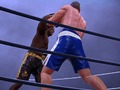 Hra Boxerský klub 